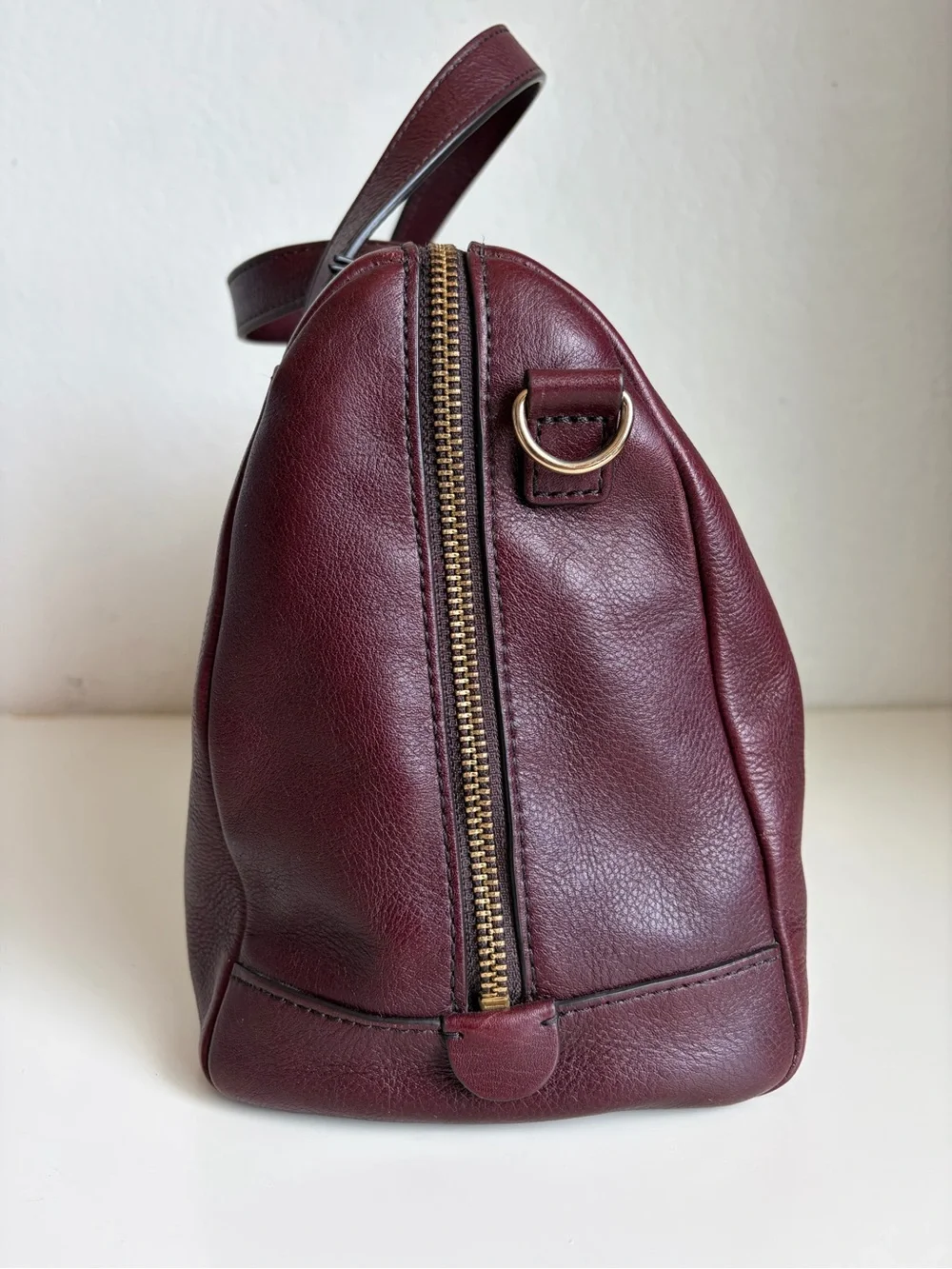 Fossil Sydney Satchel in Raisin Leather Bag